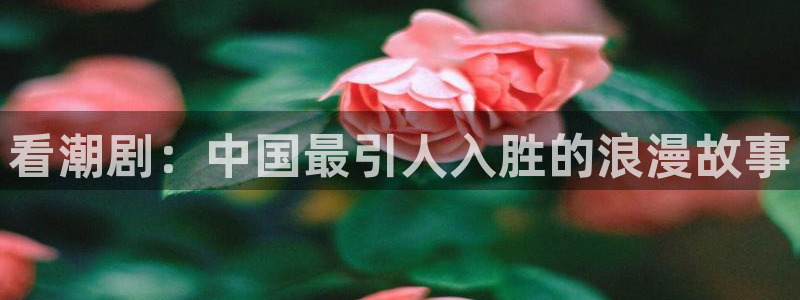 蜜桃成熟时外国片