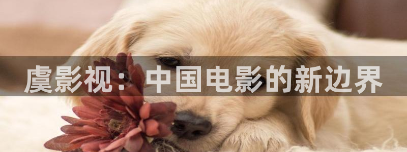 久久精品一区蜜桃臀影院